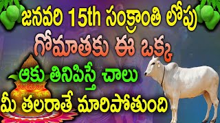 జనవరి 15th సంక్రాంతి లోపు గోమాతకు ఈ ఒక్క ఆకు తినిపిస్తే చాలు మీ తలరాతే మారిపోతుంది | Makar Sankranti