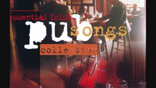 Irish Pub Drinking Songs Collection | Over 3 Hours | #irishpub