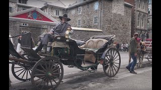 Abolir les calèches... et l'humain dans tout ça? #injonction #caleche #cochers #horsedrawncarriage