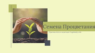 Медитация «Семена Процветания» 🌱 Обретение энергии и чувства изобилия 🌺 Короткая медитация✨