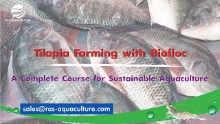Tilapia Farming with Biofloc: A Complete Course for Sustainable Aquaculture