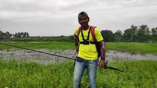 ரப்பர் தவளை வைத்து மயில்விரால் பிடிப்பது/catching bullseye snakehead using soft rubber frog lures