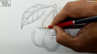 How to draw cherries pencil drawing || very easy cherry sketch || window art | #plum #pencil #sketch
