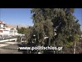 politischios.gr ΑΣΚΗΣΗ ΤΑΜΣ ΠΑΡΜΕΝΙΩΝ 2014