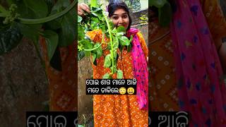 ବର୍ଷା ପାଗରେ ପୋଇ ଶାଗ ତରକାରୀ 😋|| #nilendripareshvlogs #shorts #shortvideo #eating #minivlog #funny