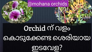 ഓർക്കിഡിന് വളം കൊടുക്കേണ്ട ഇടവേളകൾ/ഫലനോപ്സിസിന്റെ ഇലകൾക്ക് ചന്തക്കുറവോ? # orchid /dosage of Sulphur