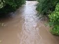 hochwasser in remchingen singen