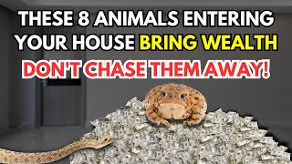 8 Animals That Bring Surprise Wealth to Any Home They Visit – Don’t Chase Them Away