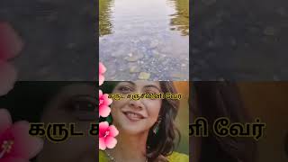 கருட சஞ்சீவினி வேர் #shorts#trending#viralvideo