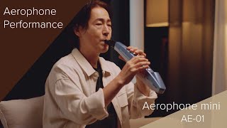 Roland Aerophone mini AE-01 Performance