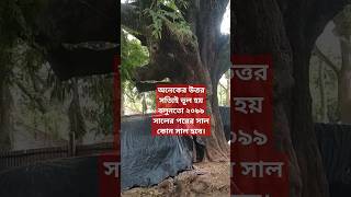 ২০৯৯ সালের পরের সাল কোন সাল হবে #shortvideo #trendingshorts #allah