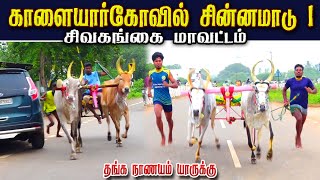 2சிவகங்கை மாவட்டம் காளையார்கோவில் 20.000 ஆயிரம் தங்க நாணயம் சின்னமாடு 1 பந்தயம் 24.11.2024