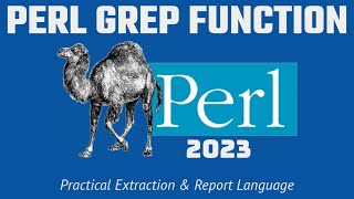 Perl Programming - Grep Array Match Function 2023