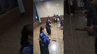 【Tenshinryu】天元貫　連続【天心流】