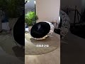 坐在ufo上是什么感觉？ 黑哥说家具 furniture furnituredesign furnitureflip