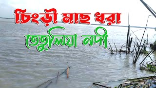 Elish fish catching | ইলিশ ধরা -ভোলা তেতুলিয়া নদী। পর্ব-২