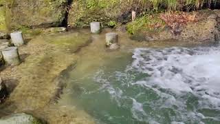 加賀 山中温泉 大聖寺川