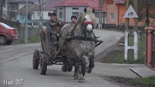 In vizita la Stelica de la Jichisu de Jos, cu Nea' Costel si Ita Mihai - 2017