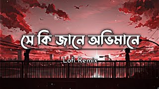 Shey Ki Janey ( সে কি জানে ) Raz Dee | Tanveer Evan ( Lofi  Remix )