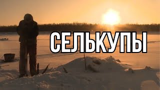 Экспедиция в последнее национальное поселение | Селькупы