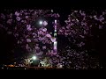 満月　full moon　フルムーン　☆　八重桜　隅田公園　2023　4月6日　sumida park　🌸　skytree light up sakura　♬　東京スカイツリー　ライトアップ　桜