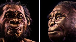 आदिमानव जो मनुष्य हो कर भी मनुष्य ना सके -  Homo Floresiensis