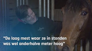 Henk redt mishandelde paarden en geeft ze weer een leven | RTV Oost