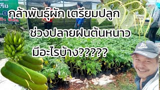 กล้าพันธุ์ผักสำหรับปลายฝนต้นหนาว ราคาแต่ละชนิด