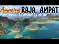 Amazing Raja Ampat !! Bertemu Lumba Lumba #travel #beautifulscenery  #wonderfulindonesia