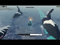 ИВЕНТ КОСАТКА В ФИШ КАК ПОЙМАТЬ КОСАТКУ В ФИШ orca update fisch robloxfun