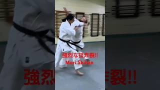 「強烈な技炸裂‼」森道治師範八段 豪州流合氣柔術 [Self-defense] Mori Shihan 8thDan Goshu-Ryu Aiki Jujutsu AUS