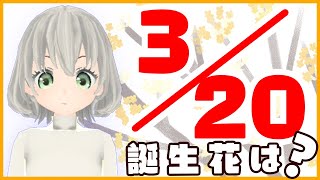 【花言葉】３月２０日の誕生花は？／花白もか