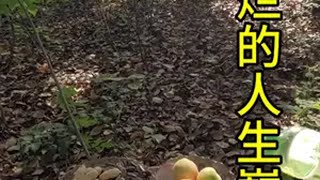 靠着捡破烂过上了这几年的人生巅峰啊vlog日常 流浪 户外生活