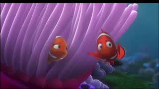 Finding Nemo 2003 Opening Scene