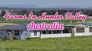 Farms In Hunter Valley, Australia 🇦🇺