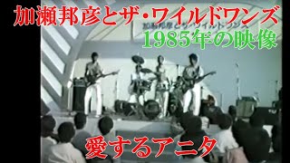 【懐かしい映像】愛するアニタ　加瀬邦彦とザ・ワイルドワンズ１９８５