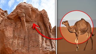 10 Most Amazing Desert Discoveries