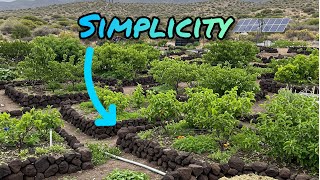 The Advantage Of Simplicity In Permaculture GTO Talk EP.6