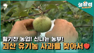 활기찬 농업! 신나는 농부! 괴산 유기농 사과를 찾아서 🍎ㅣ생방송활기찬저녁ㅣMBC충북ㅣ220906