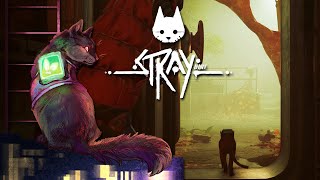 There Is a Reason We STAY in the Safe Zone!! 🐈🤖 Stray • #8