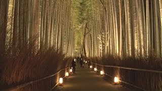 渡月橋や竹林、鮮やかに  京都・嵐山ライトアップ