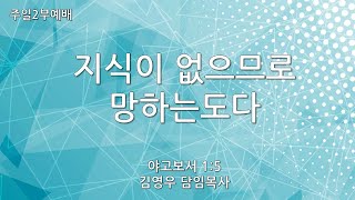 [혜림교회 주일2부설교] 지식이 없으므로 망하는도다 (2024.08.25.)