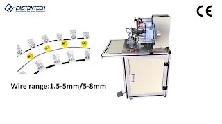 EASTONTECH EW-17A Wire Labeling Machine