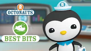 Octonauts: Peso's Best Bits