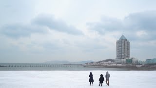 【青岛航拍】实拍大雪过后的青岛！美到无法用语言形容！Take real pictures of Qingdao after heavy snow! Beauty is beyond words!