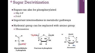 076-Reducing Sugars