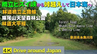 林道橋立上路線～林道大平線■橋立ヒスイ峡から大平峠を越え親不知ピアパークまでドライブ(麻尾山天望森林公園にも立ち寄り)■(糸魚川市)