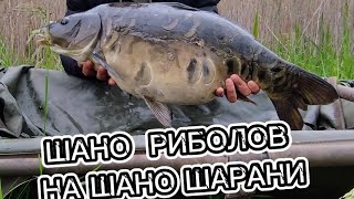 Carp fishing.Риболов на диви шарани в София