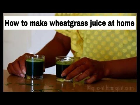 how to make wheatgrass juice at home how to make wheatgrass juice at home