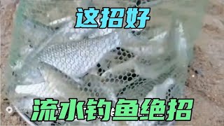 流水钓鱼妙招，照此操作，鱼获超过旁边钓友